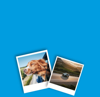 Photographs of a dog putting its head out of a car's window and of a car driving through a mountain road.